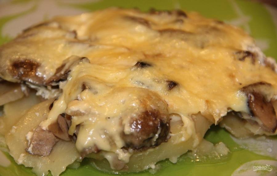 Картофельная запеканка с фаршем в духовке – 9 самых простых и вкусных рецептов